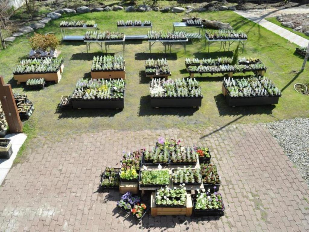 Ryobou Hanaemi Hotel Otaru Dış mekan fotoğraf